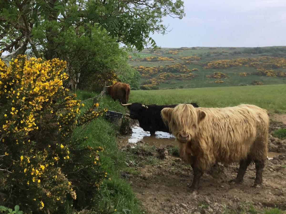 Chapelhill Hideaway Isle Of Bute Licence Ar00654F Lejlighed Rothesay Eksteriør billede